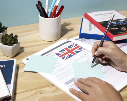 UK Immigration Image